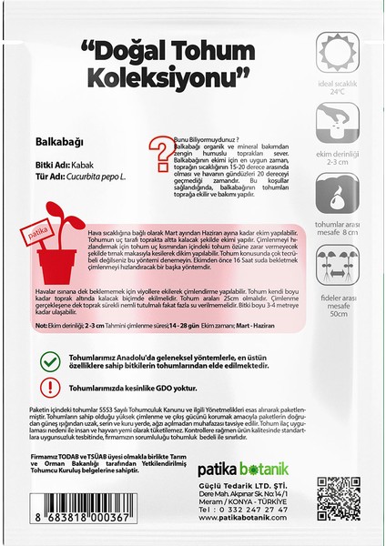 15 Adet Balkabağı Tohumu (Turuncu Etli)