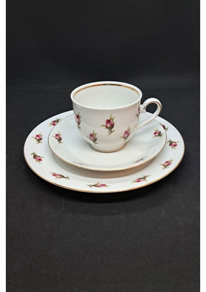 Mitterteich Tomurcuk Gül Vintage Çay Fincanı 3 Parça 170 Ml