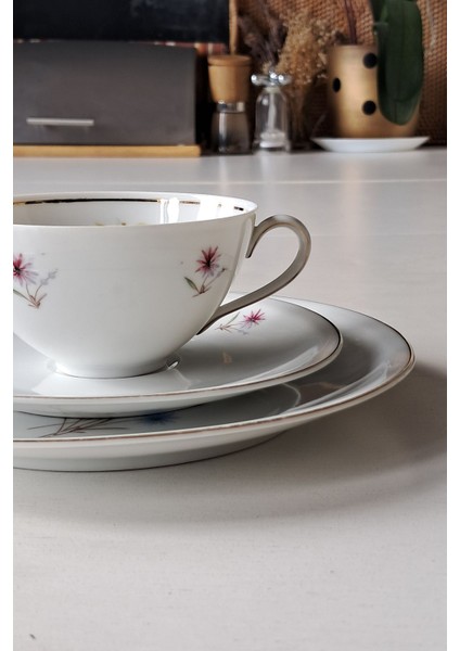 Schirnding Vintage Çay Fincanı Seti 3 Parça fiyatları