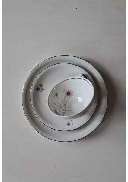 Schirnding Vintage Çay Fincanı Seti 3 Parça fırsatları