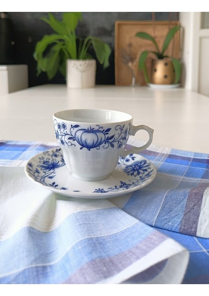 Nurantik Wunsiedel Bavaria Çay Fincanı Mavi Soğan Desen