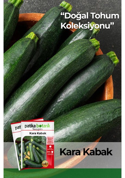 Siyah Kabak Tohumu 30 Tohum 10 Gram