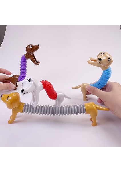 Fermuarını Aç Teleskopik Köpek Pop Gerilebilir Dachshund Köpek 4 Parça (Yurt Dışından)