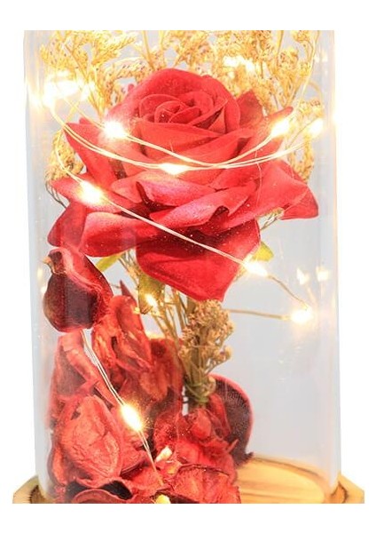 Fanus Gül 19/10 cm LED Işıklı Cam Fanuslu Hediyelik
