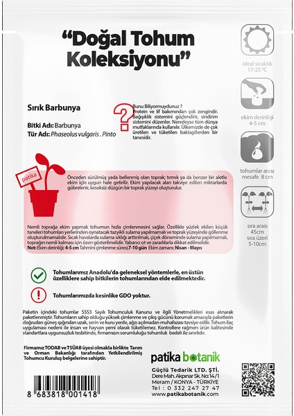 50 Adet Sırık Barbunya Tohumu (Selim) modelleri