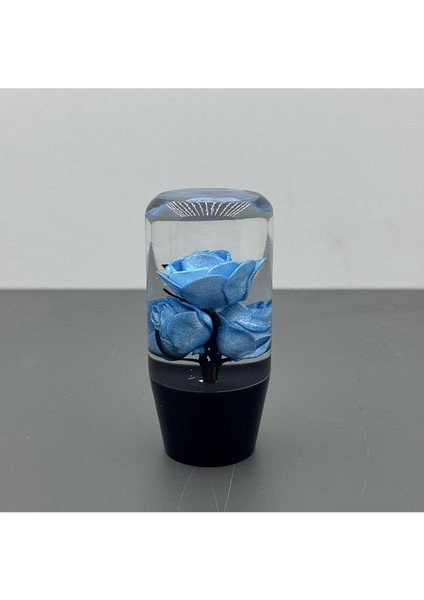 Mavi Güllü Vites Topuzu