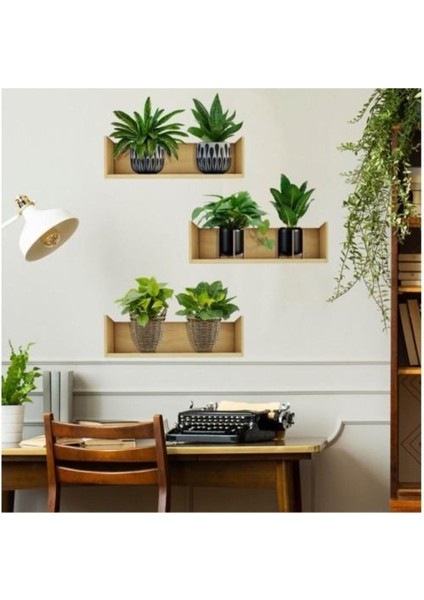 Raflı Bitki Tasarımlı Yapışkanlı Sticker 20X30 cm 3lü Set Ev Dekorasyonu Çiçek Duvar Çıkartması