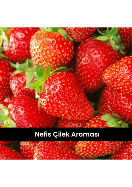 Formula Protecoll | Whey Protein ve Kollajen | Çilek Aromalı | 21 Porsiyon