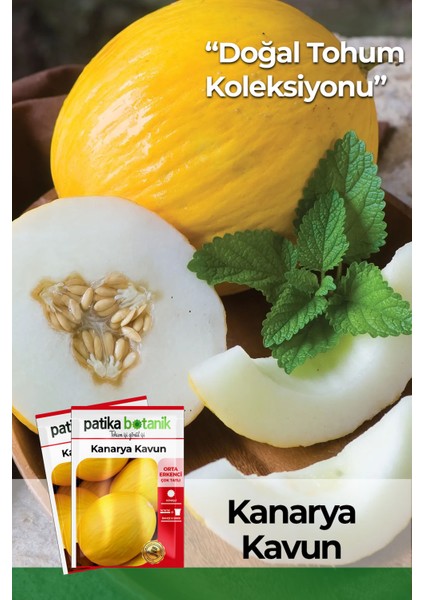 50 Adet Kanarya Kavun Tohumu