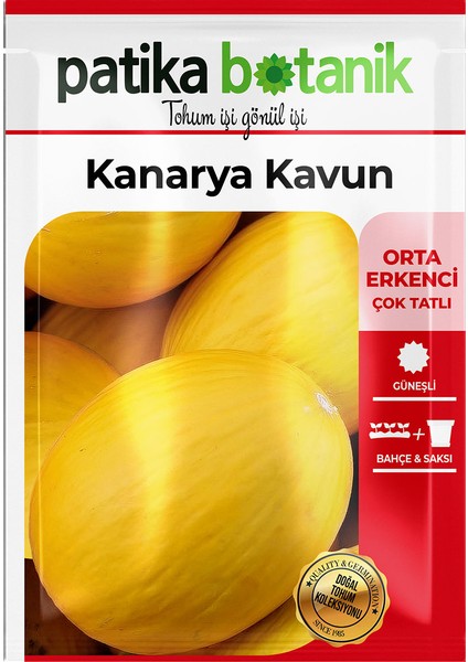 50 Adet Kanarya Kavun Tohumu