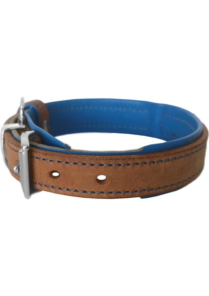 Lüks Deri Köpek Boyun Tasması 2X25-32 cm Mavi Kahverengi