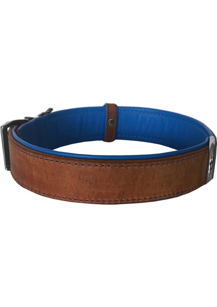 Lüks Deri Köpek Boyun Tasması 2X25-32 cm Mavi Kahverengi