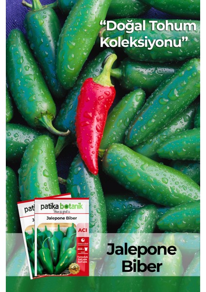 150 Adet Yerli Ata Jalapeno Biber Tohumu