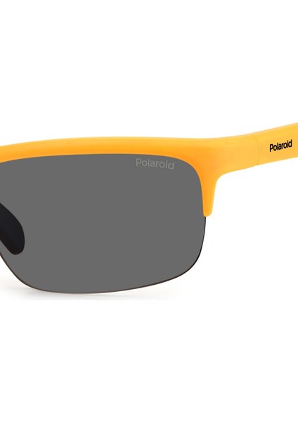 Pld 7042/S 69IM9 Polarize Güneş Gözlüğü indirimleri