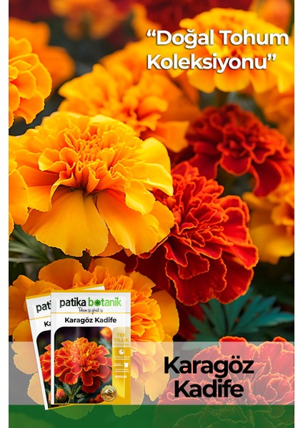50 Adet Karagöz (Tagetes L.) Çiçek Tohumu