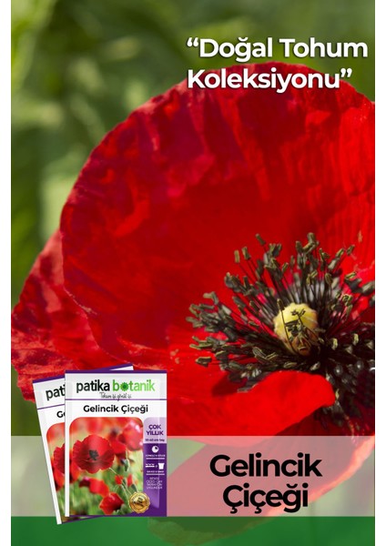 50 Adet Gelincik Çiçek Tohumu (Papaver Rhoeas)