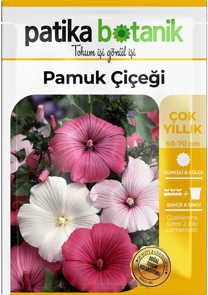 25 Adet Pamuk Çiçeği Tohumu