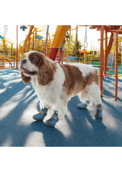 Kışlık Su Geçirmez Köpek Ayakkabısı, Kaliteli Gerçek Deri Yüzey Köpek Botu, Fermuar Tasarımlı Köpek Ayakkabısı, Kauçuk Taban Köpek Ayakkabısı