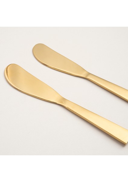 Rampur Çelik Servis Seti 2X15X0.3 cm Gold