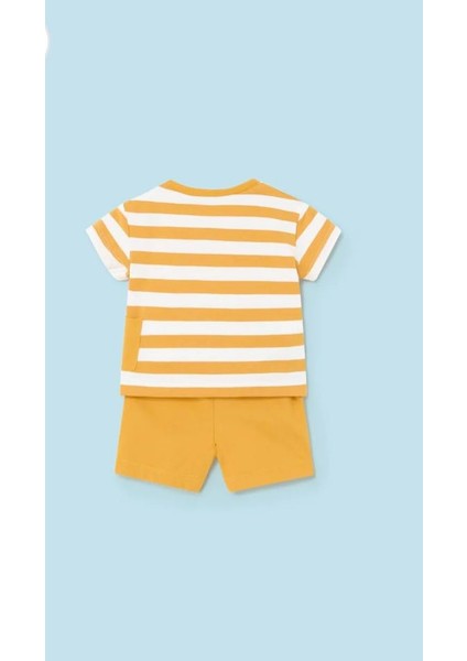 Erkek Bebek Şort Tişört 4 Lü Set 1628 fiyatları