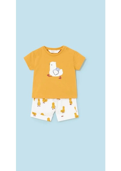 Erkek Bebek Şort Tişört 4 Lü Set 1628 fırsatları