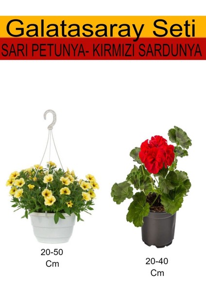 2'li Takım Seti Sarı Askılı Saksılı Petunya+ Kırmızı Sardunya Çiçeği