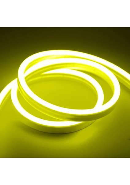 LED Neon 12V 5mt (Giriş Kablosu Dahildir)