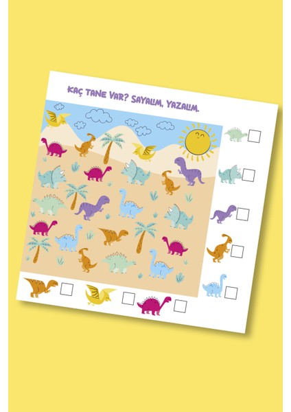 Kaç Tane Var? Sayma Kitabı - 4+ Yaş Aktivite Kitabı - Okul Öncesi Etkinlik fırsatları