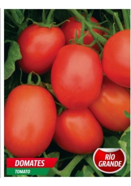 Rio Grande Domates Tohumu 1 Gr Tohum