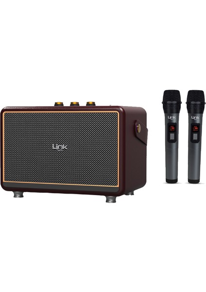 M407 Premium Retro 2x Mikrofonlu 50W Bluetooth Hoparlör