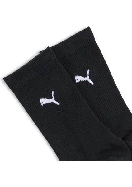 Kadın Classic Çorap 2'li Paket modelleri