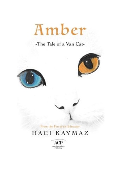 Amber - Hacı Kaymaz