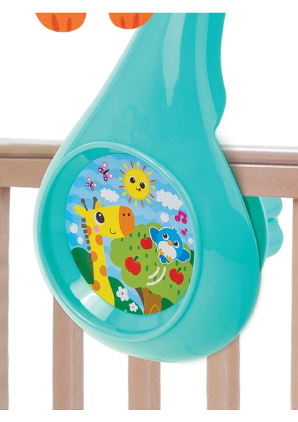 Orman Arkadaşları Dönence fiyatları