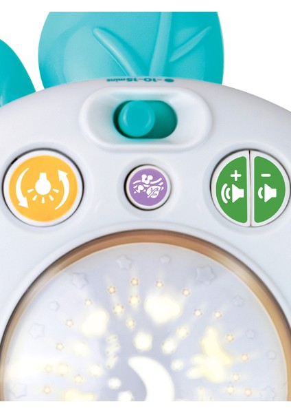 Orman Arkadaşları Dönence fırsatları