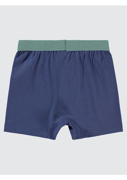 Erkek Bebek Boxer 9-18 Ay Mavi
