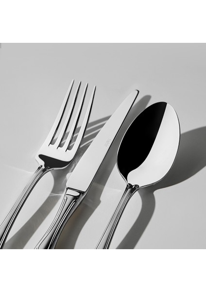 Lalezar Saten 12 Kişilik 72 Parça Kutulu Çatal Kaşık Bıçak Takımı fiyatları