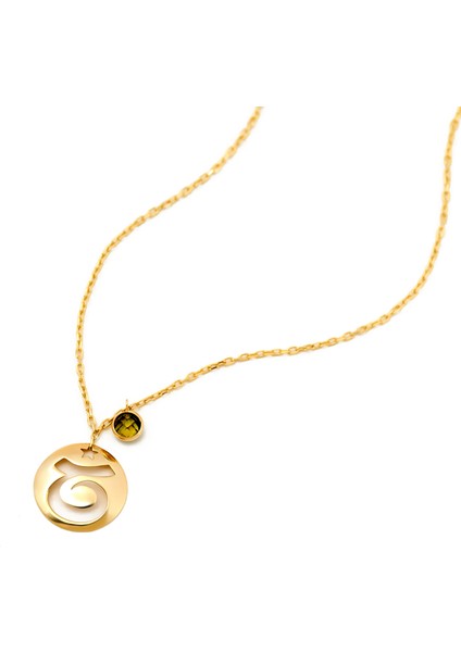 Boğa Burcu Doğum Taşlı Disk Nacklace fiyatları