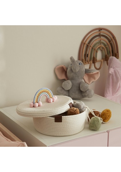 Rainbos Kapaklı Organizer 21X11 cm