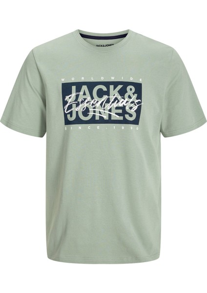 Jjcolton Ln Erkek Tişört 12268439 12268439004 fırsatları