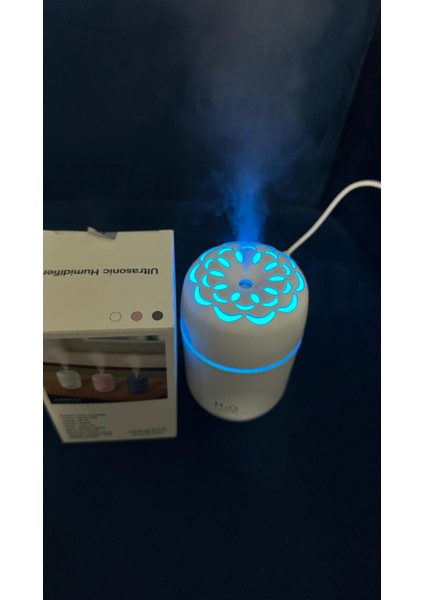 YENİ H2o Çiçek Desenli +1 flitre ve +1 Koku Hediyeli Hava Nemlendicirisi Gecel LAmbası Ortam hava Yumusatıcı humudifier Hava Nemlendirici buhar makinası 250 ml