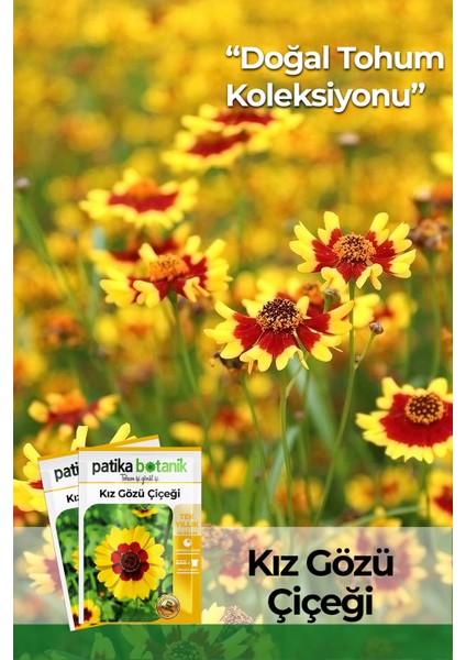 100 Adet Kız Gözü (Coreopsis Tinctoria) Çiçek Tohumu