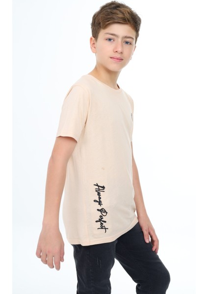 Erkek Çocuk Nakışlı Tişört modelleri