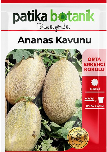100 Adet Ananas Kavun Tohumu