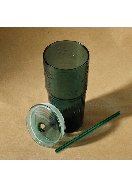 Royce Yeşil Pipetli Mug 600 ml fiyatları