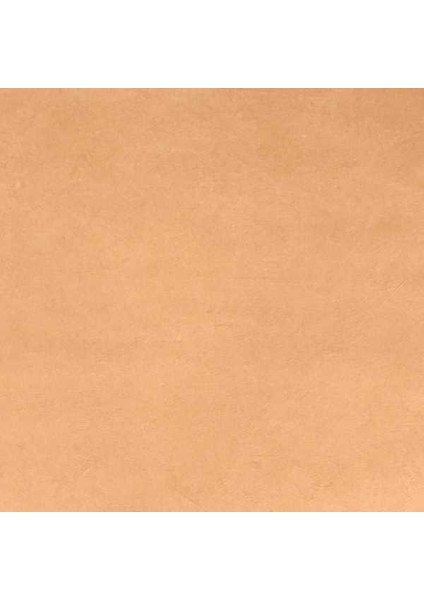 Plaster Nature Duvar Kağıdı 603916 (5m2)