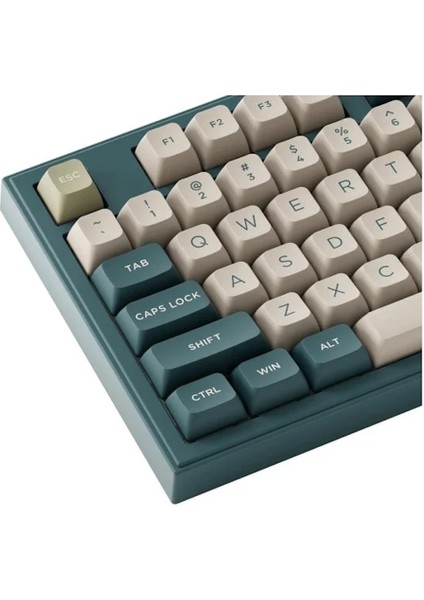 Ink Green 5098B Rgb Kablosuz Hotswap Mekanik Gaming Klavye