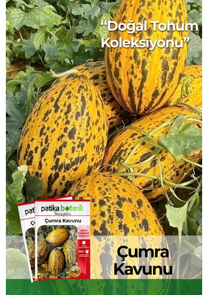 100 Adet Çumra Kavunu Tohumu