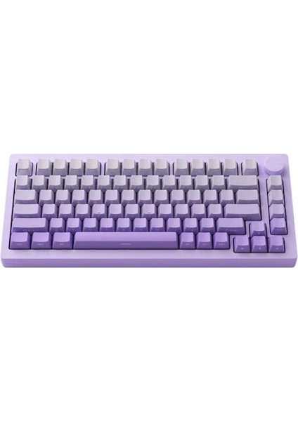Monsgeek M1W V3 He-Sp Purple Gradiant Hall Effect Manyetik Switch Rgb Kablosuz Hotswap Mekanik Gaming Klavye