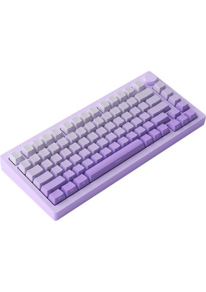 Monsgeek M1W V3 He-Sp Purple Gradiant Hall Effect Manyetik Switch Rgb Kablosuz Hotswap Mekanik Gaming Klavye