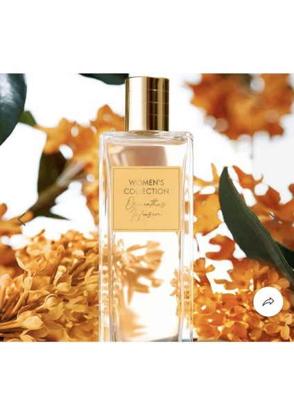 Women's Collection Osmanthus İnfusion Edt fiyatları
